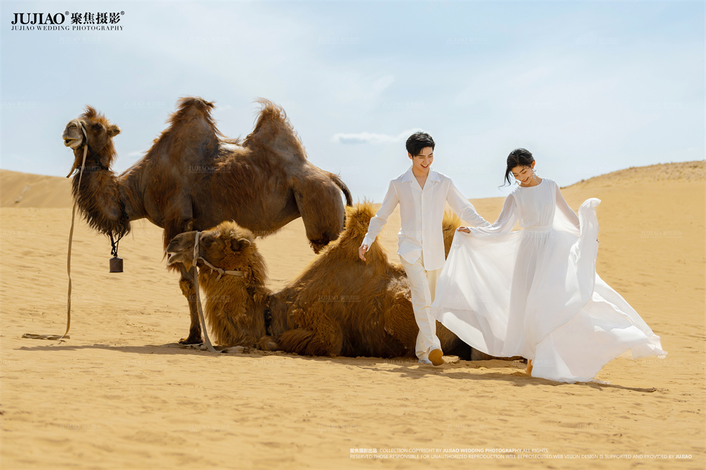 沙漠婚纱照
