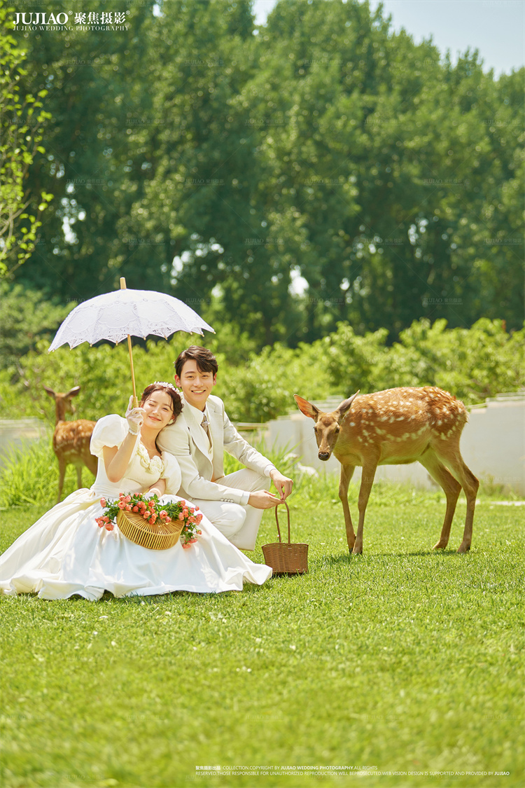 草坪婚纱照