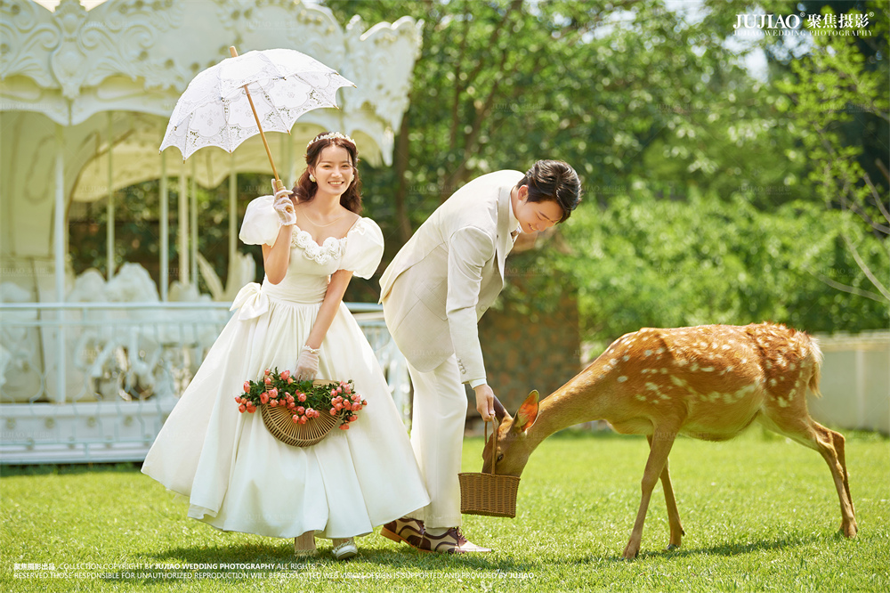 草坪婚纱照