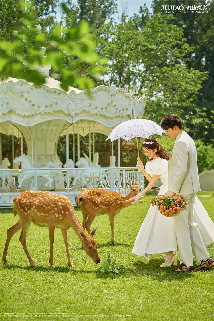 草坪婚纱照