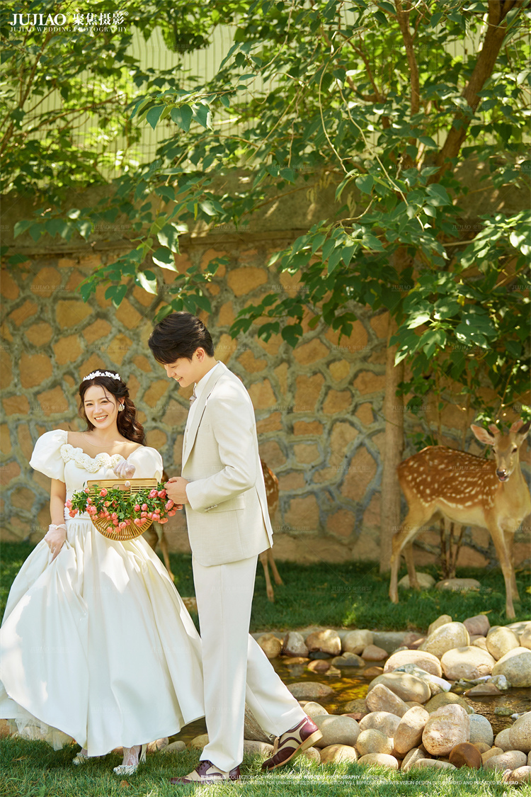 草坪婚纱照