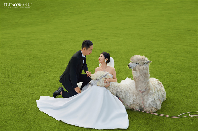 大理婚纱照